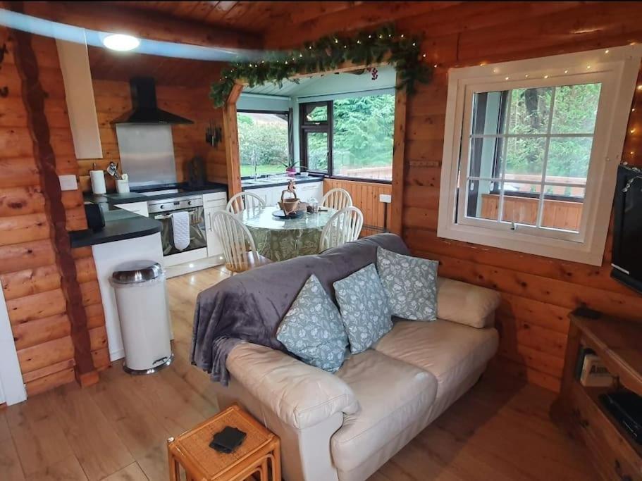 Cosy Cabin In Snowdonia With Views Wi-Fi Dog Friendly & Parking Trawsfynydd エクステリア 写真