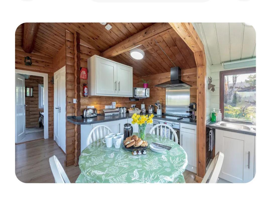 Cosy Cabin In Snowdonia With Views Wi-Fi Dog Friendly & Parking Trawsfynydd エクステリア 写真